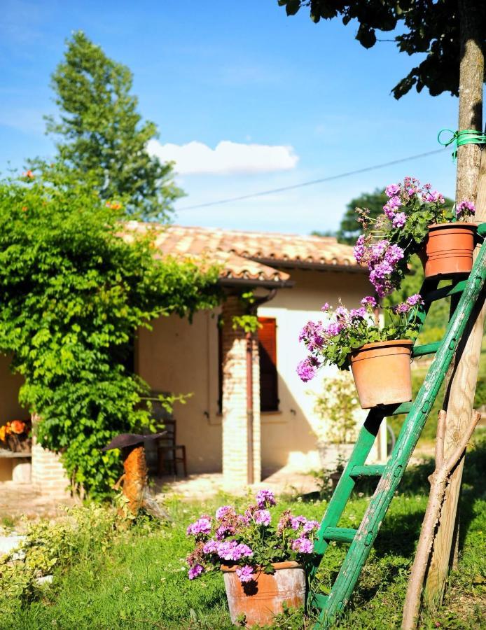 Arcadia Villa Spello Dış mekan fotoğraf
