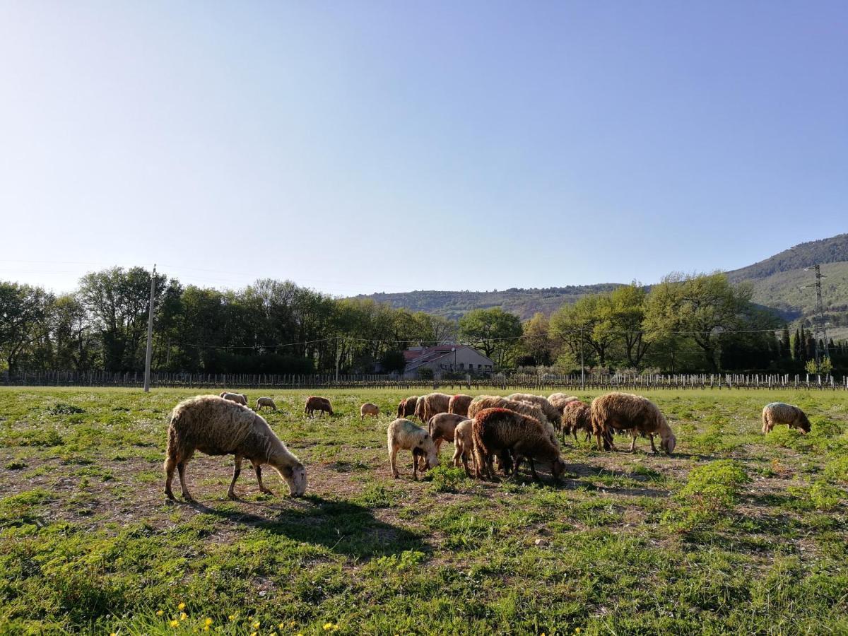 Arcadia Villa Spello Dış mekan fotoğraf
