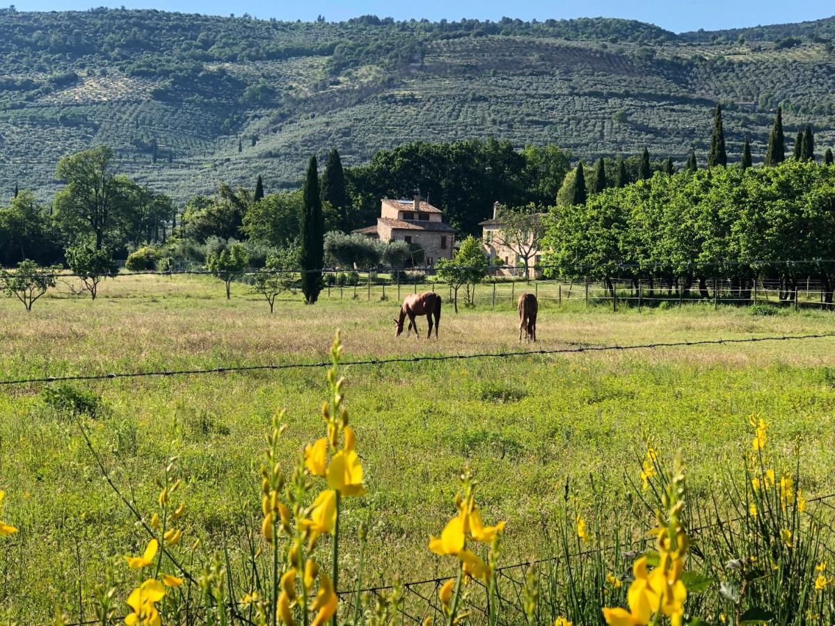 Arcadia Villa Spello Dış mekan fotoğraf