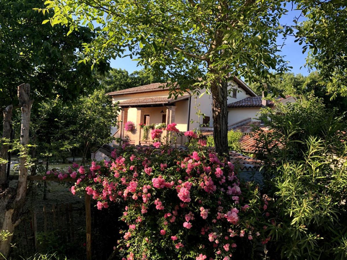 Arcadia Villa Spello Dış mekan fotoğraf